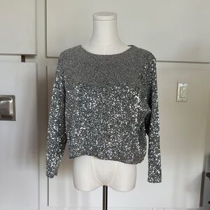 Zara Silver Sequin Women's Top